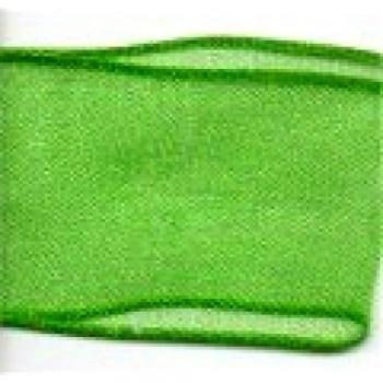 Cinta de tela transparente alambrada Berisfords de 40 mm x 25 m, color verde