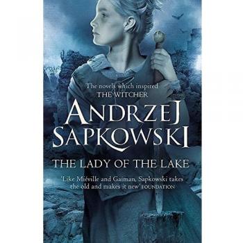 The lady of the lake witcher 5 z now a major netflix show the witcher