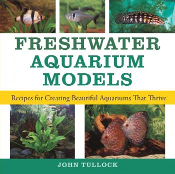 Thriving Freshwater Aquarium Models: A Guide to Beautiful Aquariums by John H. Tullock