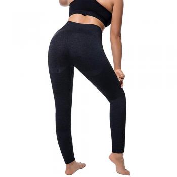 Puimentiua Leggings Mujer Pantalones Deportivos para Yoga y Ejercicio sin Costura