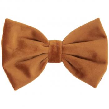 Pajarita de terciopelo para perro Kentucky