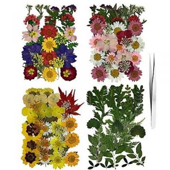 Roqueen 127 Piezas Naturales Flores Prensadas Secas para Resina con Pinzas para Scrapbooking DIY Vela Decoración Joyas Artesanía Tarjetas Haciendo