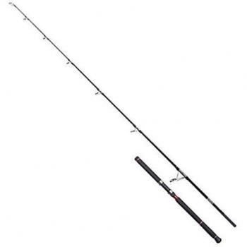 Cinnetic Cinergy Big Tuna Evolution 2.48 m