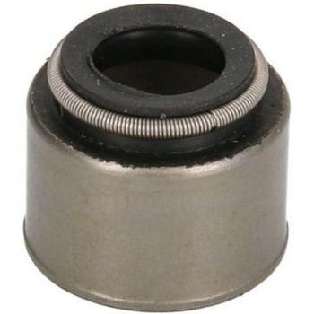 Anillo de junta y retén de válvulas BTA N30302BTA