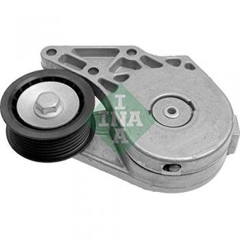 LUK 534012630 Tensioner