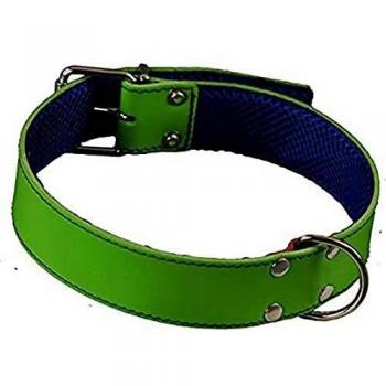 Collar Cuero Forro Amazon 75 VDE