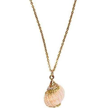 Córdoba Jewels | Gargantilla en Acero bañado en Oro con Concha Natural con diseño Caracola Gold