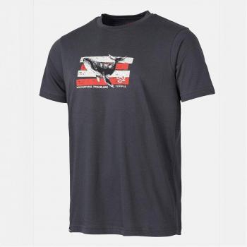 Camiseta de montaña para hombre Kippens Ternua gris manga corta (M)