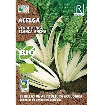 SEMILLAS ECOLOGICAS ACELGA VERDE PENCA