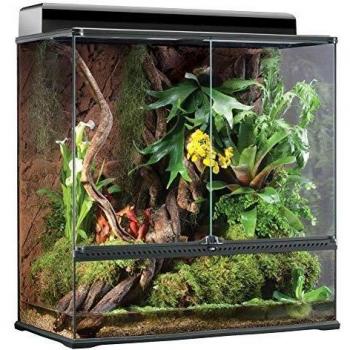 EXO TERRA Terrarios 1 Unidad 4000 g