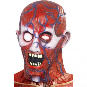 Anatomy Mans Mask (disfraz)