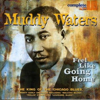 Feel Like Going Home - Muddy Waters