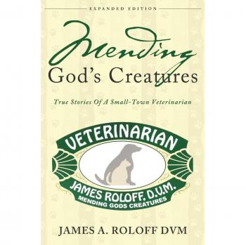 Mending God's Creatures: True Stories of a Small-Town Veterinarian - Paperback Edition