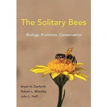Solitary Bees: Comprehensive Guide to Their Biology, Evolution, and Conservation