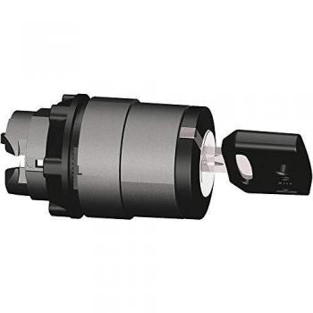 Schneider Electric ZB5AG6 Cabeza Selector con Llave 2 posiciones, Ø 22