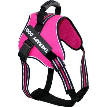 K1 Arnés 40-50CM para Perro Mediano Azul