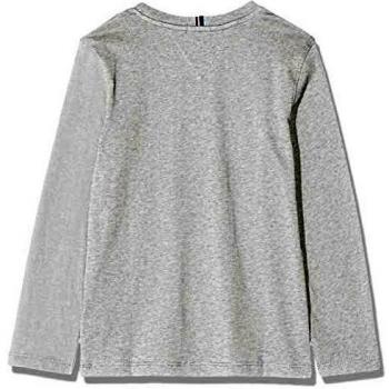 Tommy Hilfiger Flags Graphic tee L/s Camiseta, Gris