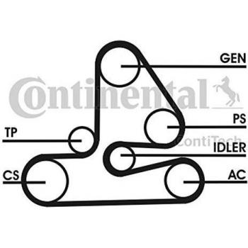 Continental 6PK1613D1 CONTITECH