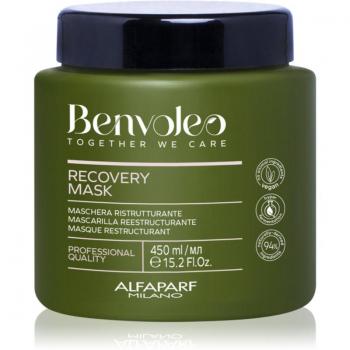Alfaparf Milano Benvoleo Recovery Intense Regenerating Mask for Damaged Hair 450ml