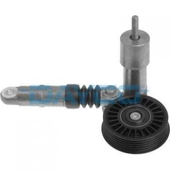 Dayco APV2259 Tensor de Correa, Correa Poli V