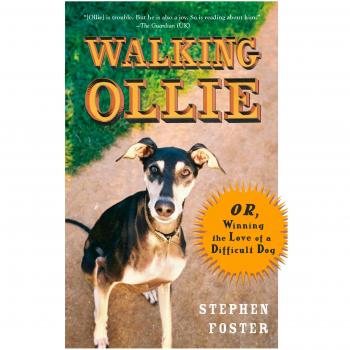 Walking Ollie: Or, Winning the Love of a Difficult Dog