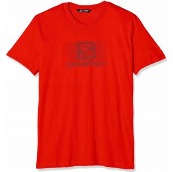 Salomon Blend Logo SS tee T-Shirt, Hombre, Fiery Red, S
