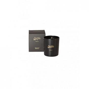 Vela Perfumada Teatro Fragranze Black Divine 180 g