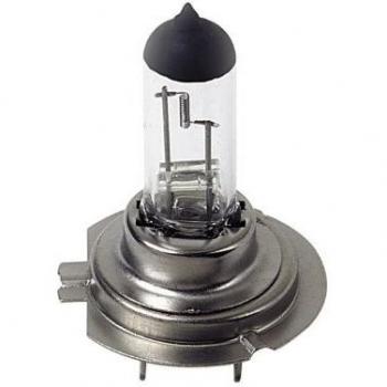 Lampa - 58054 - Lámpara H7, 100 W, 12 V