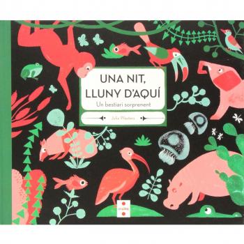 Una nit, lluny d'aquí