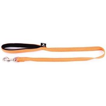 Correa de perro de neopreno y nylon Martin Sellier S con collar incluido