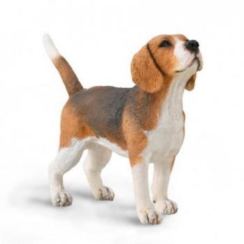 Figura de Perro Beagle M a Escala Coleccionable para Niños y Niñas - Collecta 90188935