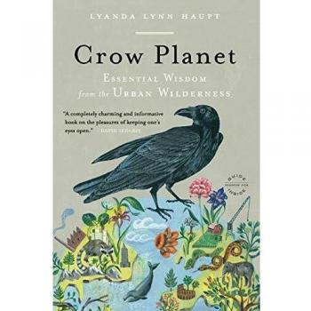 Crow Planet