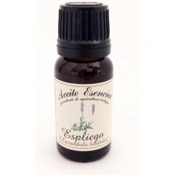Labiatae Aceite Esencial De Espliego