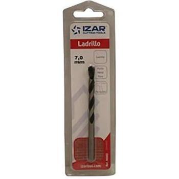 Izar 67920 Serie M880 Broca Punta Metal Duro Pared Standard, 7 x L100 mm