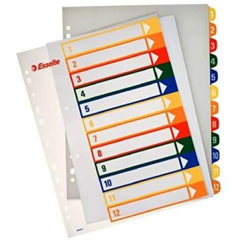 Esselte Índices Proyectos Imprimibles, Tamaño A4 maxi, 12 pestañas, Multicolor, 100214