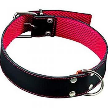 Collar Cuero Forro Amazon 65 NEG