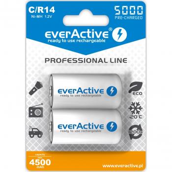 EverActive EVHRL14-5000 Batería Recargable NiMH