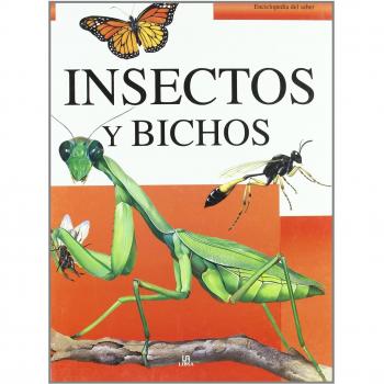 Insectos y Bichos