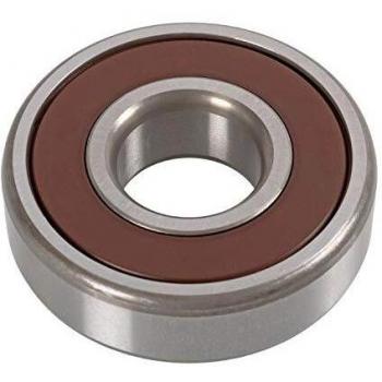Tensor de correa FEBI BILSTEIN 22096, correa poli V
