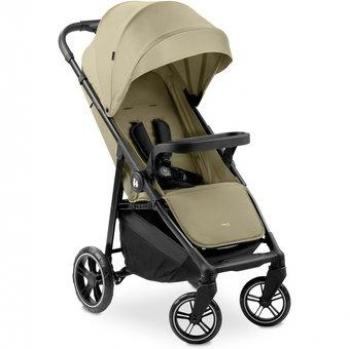 Hauck Silla de Paseo Shop N Care Ligera y Plegable con una Mano hasta 22 kg