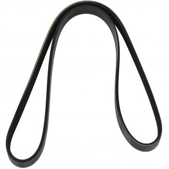 Dayco 6PK1076 Correa Trapecial Poli V