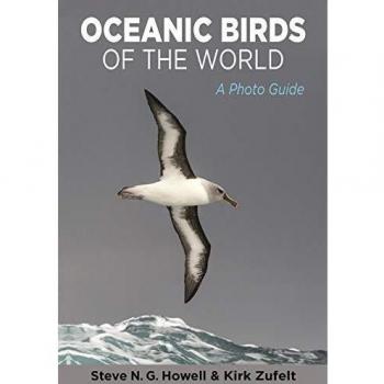 Oceanic Birds of the World: A Photo Guide