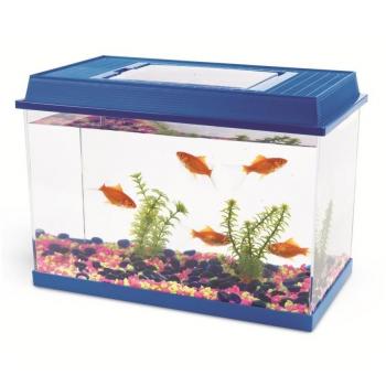 SAVIC Caja Transporte L 20 X Cm Geo-20 L, 41 x 23 x 29 cm