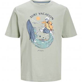 Camiseta de niño Jack & Jones Zion cuello redondo manga corta color Desert Sage