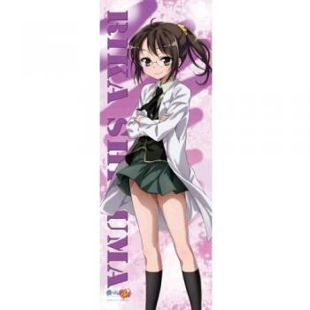 Boku wa Tomodachi ga Sukunai Life-size Tapestry Shiguma Rika