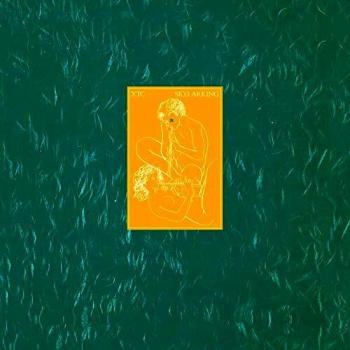 Skylarking [Vinilo]