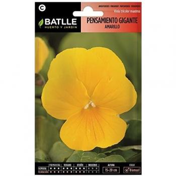Pensamiento Gigante AMARILLO