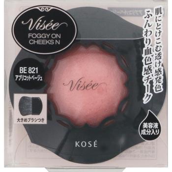 Visee Richer Foggy Cheek Color in Apricot Beige 5g
