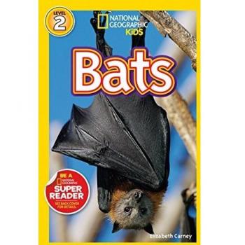 Bats