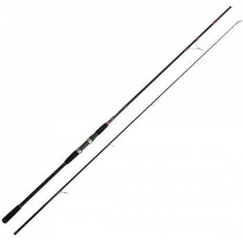 CINNETIC 8504**3,00Xh - Caña Explorer Shore Jig Evolution Extr. 3,00Xh